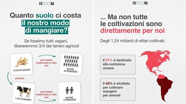 Quanto suolo ci costa il nostro modo di mangiare?