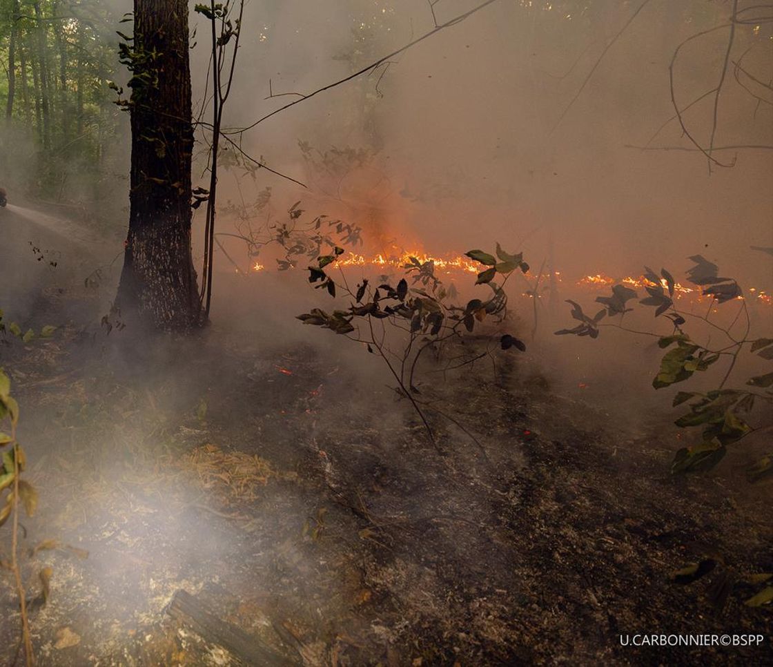 Incendi in Francia, 220mila evacuati nella Gironda. In Spagna altri 100mila sfollati