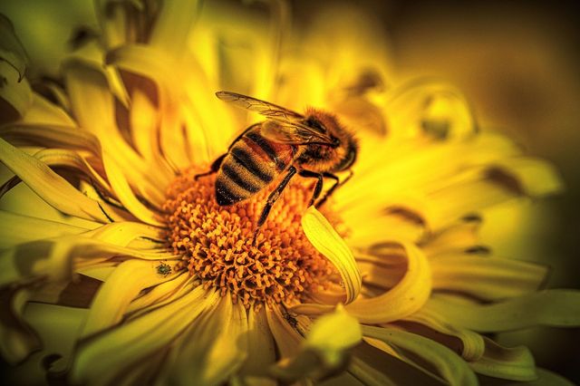 Allergie ai pollini nei bambini: il cambiamento climatico allunga le stagioni e complica le diagnosi