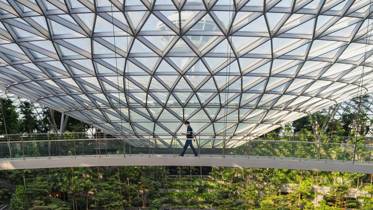 Singapore pianterà oltre un milione di alberi per combattere il caldo urbano