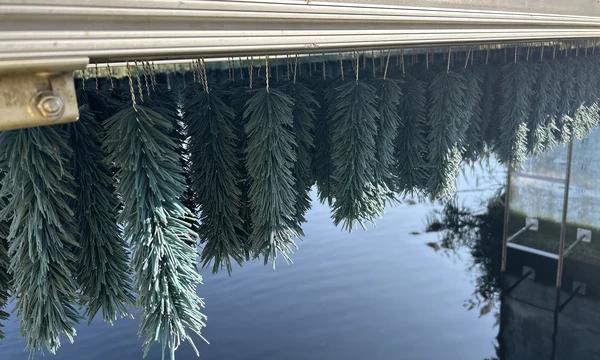 Lo scovolino che cattura la plastica dall’acqua