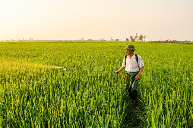 Pesticidi, quasi la metà degli agricoltori del mondo viene avvelenata ogni anno