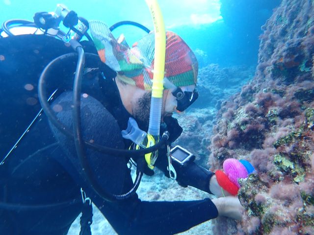 Un vivaio galleggiante di coralli per salvare gli ecosistemi del Mediterraneo