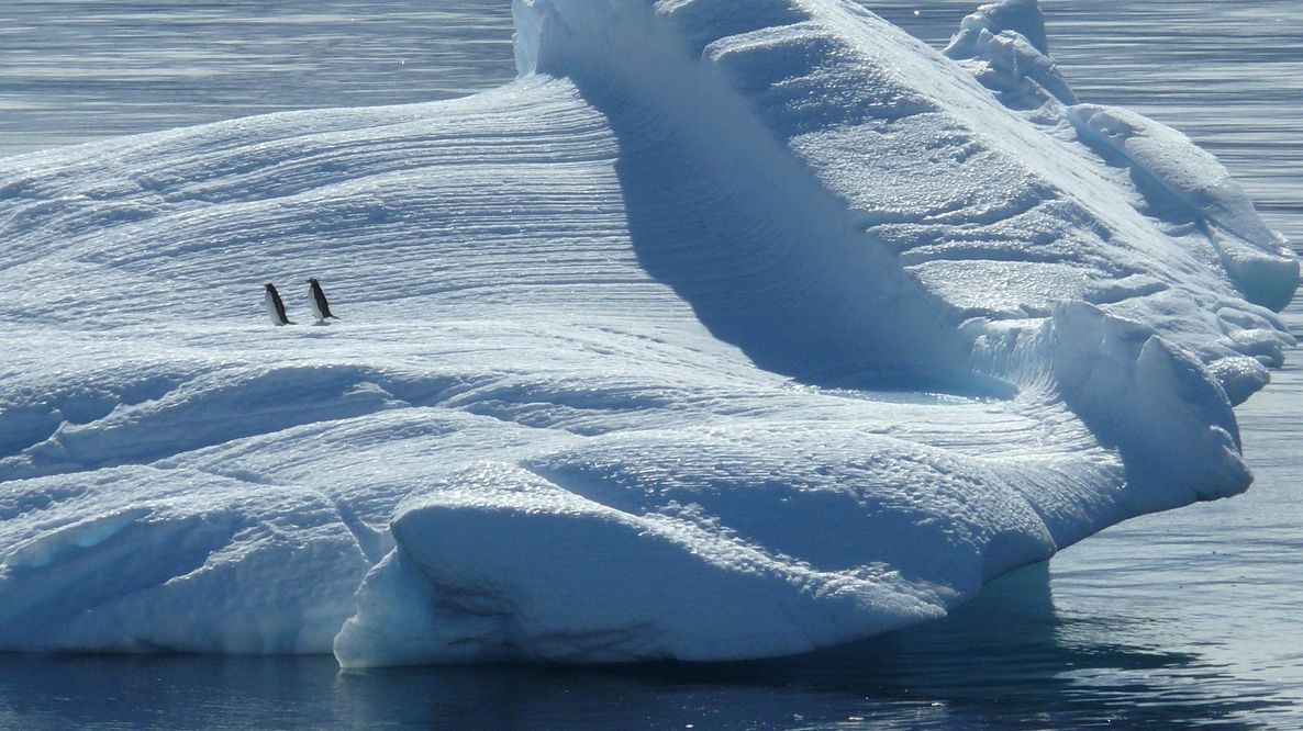 La Tara Polar Station è partita verso il Polo Nord: il laboratorio galleggiante studierà il clima
