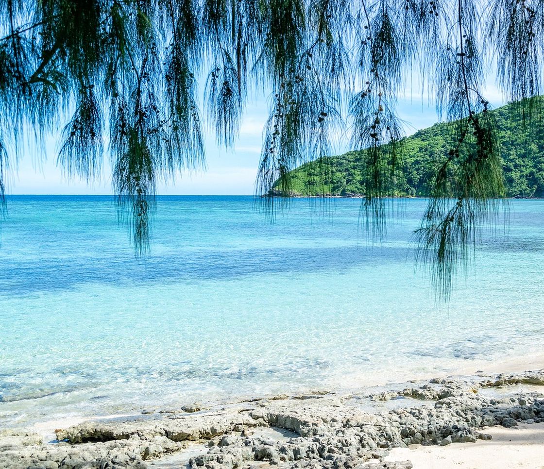 Microplastiche nei pesci del Pacifico: contaminazione anche nelle aree più remote