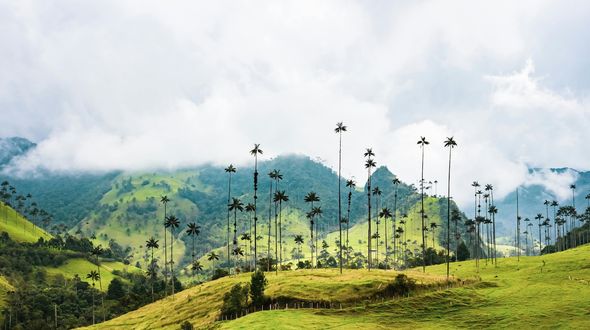 La Colombia vieta nuovi progetti di petrolio e miniere nella sua Amazzonia