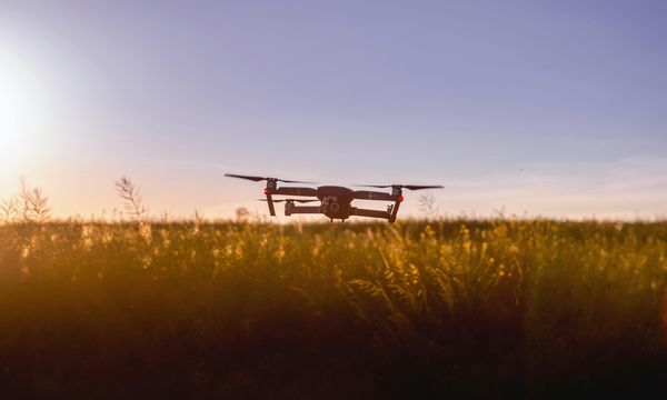 Intelligenza artificiale e riforestazione: i droni che ricostruiscono le foreste dieci volte più velocemente