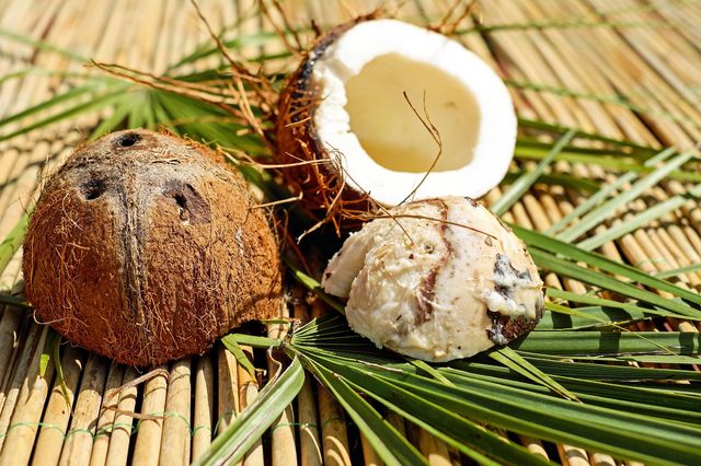 Carburante per aerei ricavato dall'olio di cocco