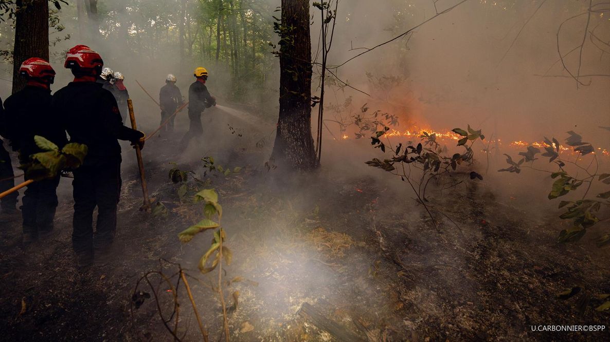 Incendi in Francia, 220mila evacuati nella Gironda. In Spagna altri 100mila sfollati