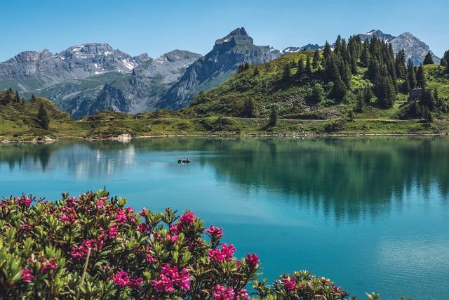 Mare e laghi italiani sotto attacco