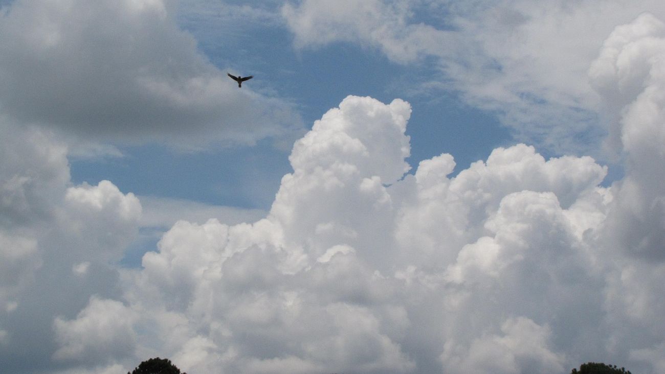 Buco dell’ozono, il “vaccino” di Montréal funziona: lo scudo della Terra sta guarendo