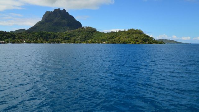 La Polinesia Francese ha istituito la più grande area marina protetta del mondo