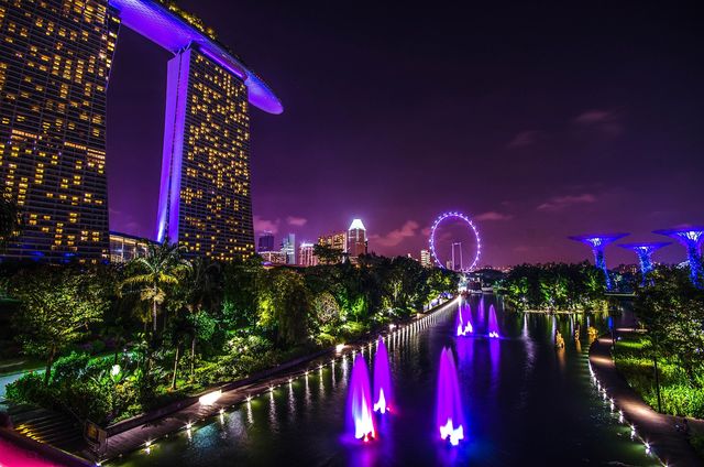 Singapore pianter&agrave; oltre un milione di alberi per combattere il caldo urbano