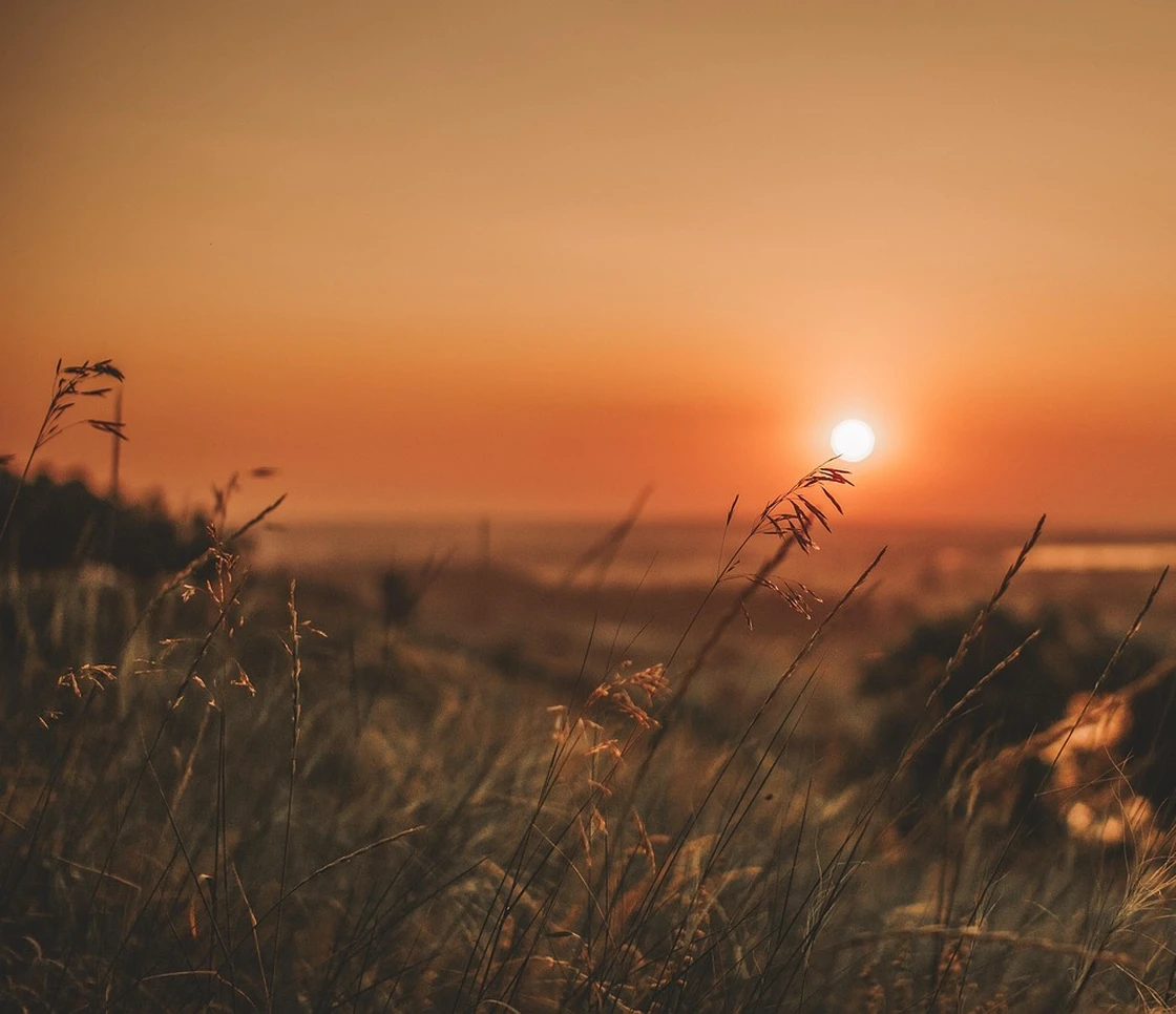 Il 2025 verso il secondo anno più caldo di sempre: i nuovi dati di Copernicus