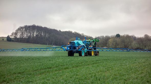 Francia condannata per contaminazione da pesticidi: sentenza storica a Parigi
