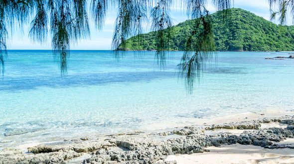 Microplastiche nei pesci del Pacifico: contaminazione anche nelle aree più remote