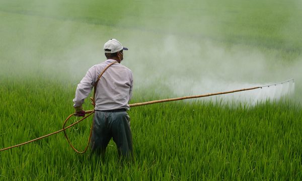 Pesticidi, quasi la metà degli agricoltori del mondo viene avvelenata ogni anno