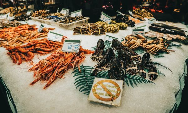 PFAS nel pesce: il commercio ittico aumenta il rischio di esposizione