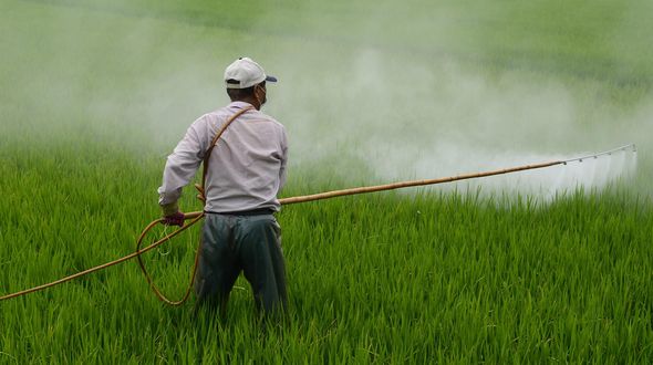 Pesticidi, quasi la metà degli agricoltori del mondo viene avvelenata ogni anno