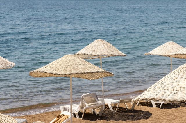 Ondate di calore record in Europa