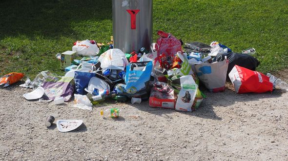 Puliamo il Mondo 2025, oltre 24mila rifiuti raccolti nei parchi urbani in Italia