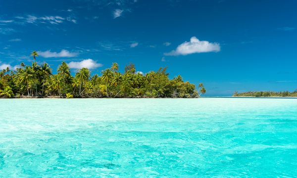 La Polinesia Francese ha istituito la più grande area marina protetta del mondo