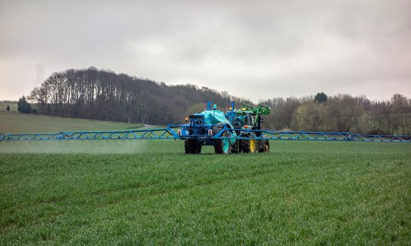 Francia condannata per contaminazione da pesticidi: sentenza storica a Parigi