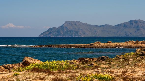 La Spagna punta a istituire 23 nuove aree marine protette nelle Canarie e nel Mediterraneo