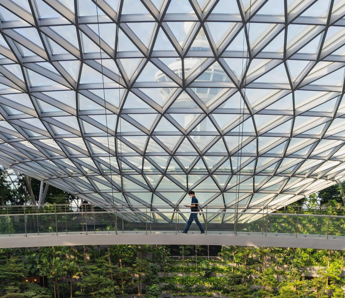 Singapore pianterà oltre un milione di alberi per combattere il caldo urbano