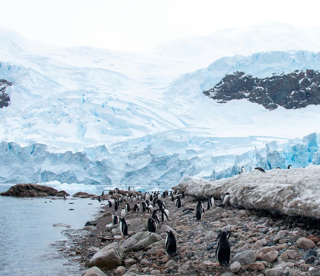 La Penisola Antartica si scalda più del previsto: superata la soglia critica