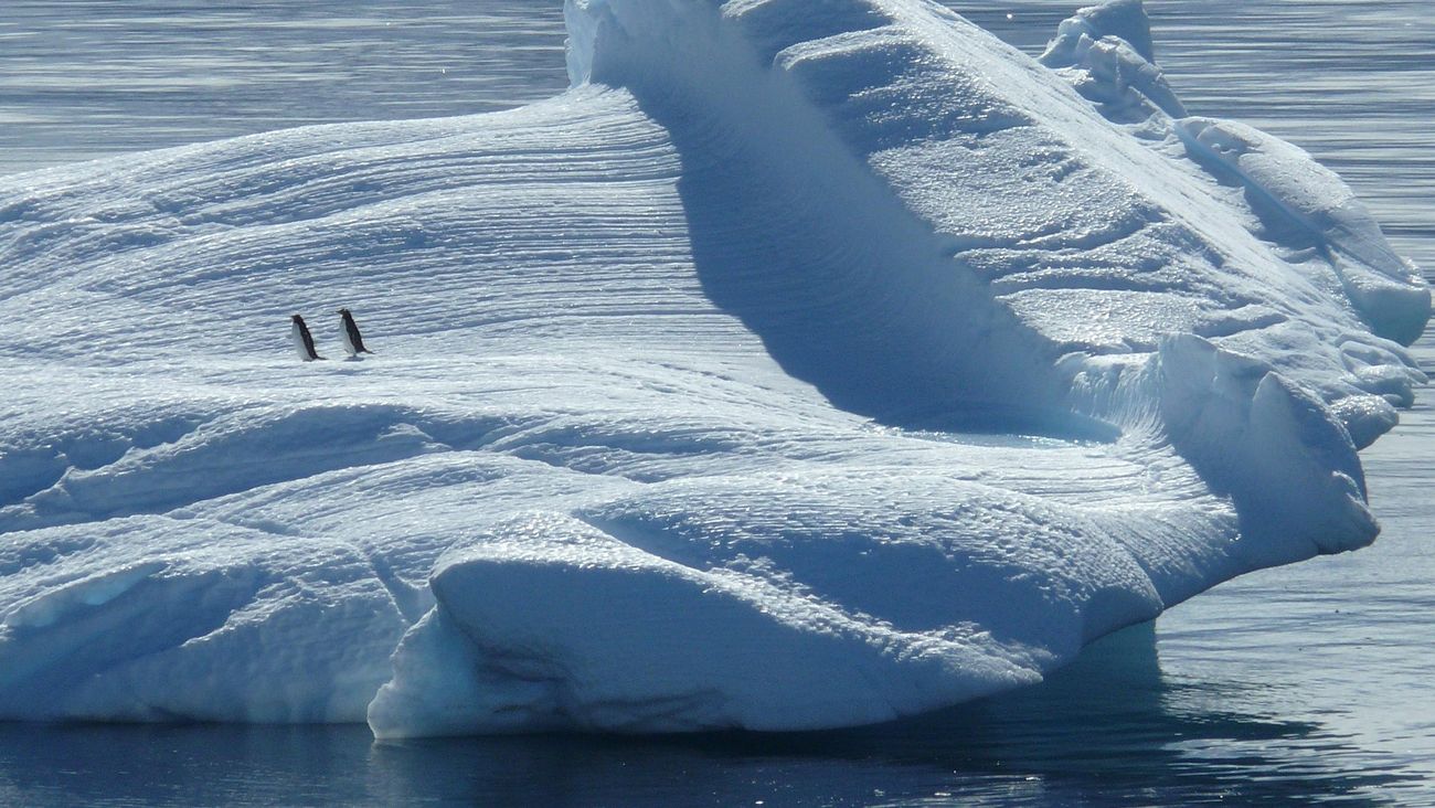 La Tara Polar Station è partita verso il Polo Nord: il laboratorio galleggiante studierà il clima