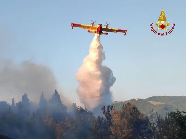 I dati degli incendi boschivi in Italia nel 2025