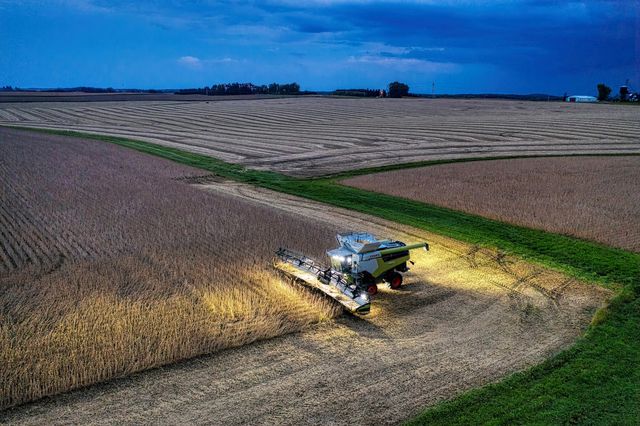 Mais, soia e sorgo: il cambiamento climatico aumenta la variabilità dei raccolti e minaccia la sicurezza alimentare