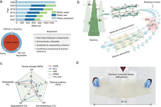 Dal bambù una plastica rigida biodegradabile
