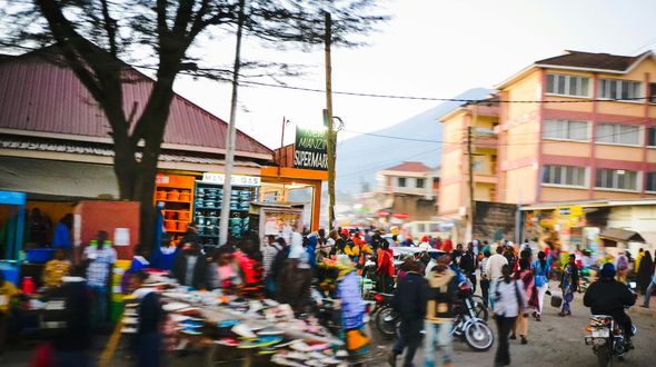 Global Hunger Index 2025: oltre 295 milioni di persone in fame acuta, la guerra trasforma il cibo in un’arma