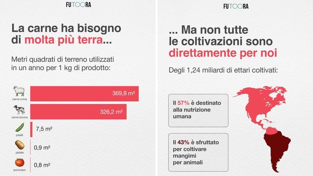 Quanto suolo ci costa il nostro modo di mangiare?