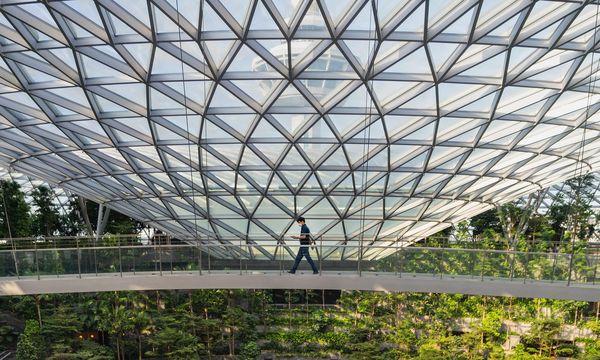 Singapore pianterà oltre un milione di alberi per combattere il caldo urbano