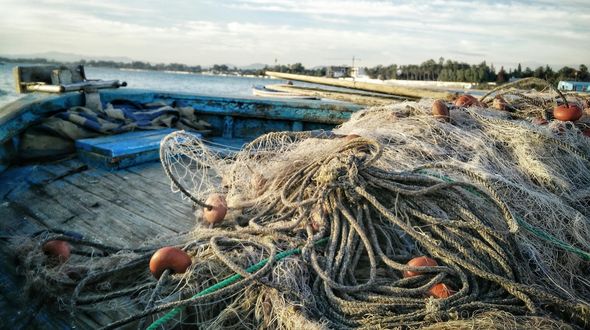 Pesca a strascico e biodiversità: il Mediterraneo sotto pressione