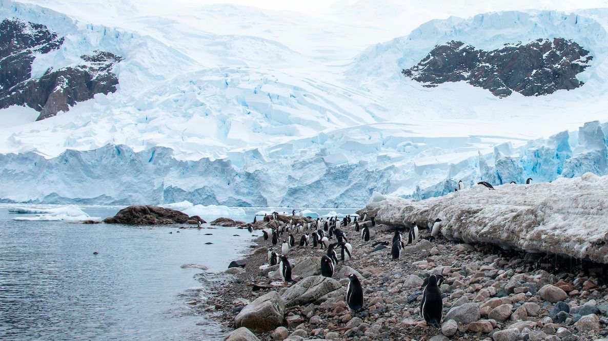 La Penisola Antartica si scalda più del previsto: superata la soglia critica