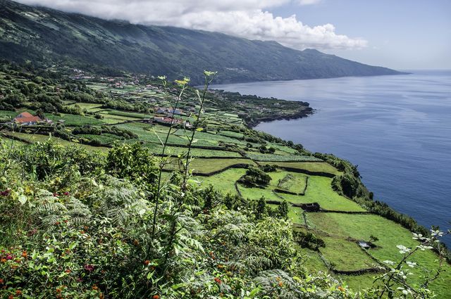Azzorre, l'isola di Corvo spegne le luci per salvare le berte