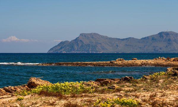 La Spagna punta a istituire 23 nuove aree marine protette nelle Canarie e nel Mediterraneo