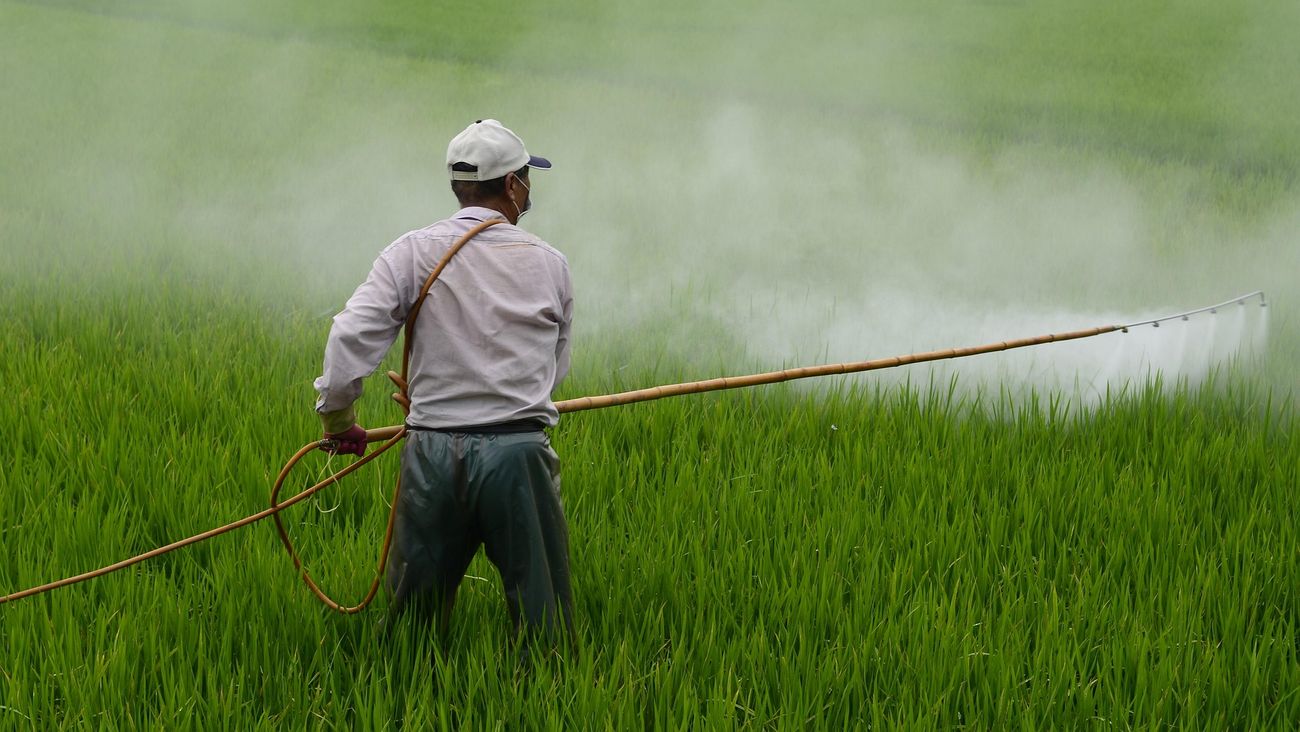 Pesticidi, quasi la metà degli agricoltori del mondo viene avvelenata ogni anno