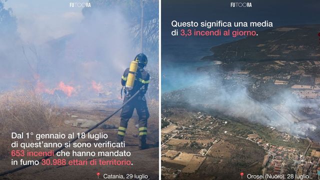 I dati degli incendi boschivi in Italia nel 2025
