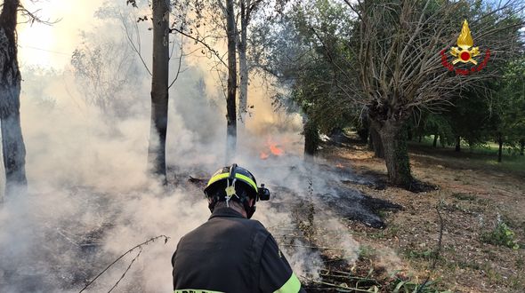 Incendi, 440 milioni di persone minacciate in 20 anni: l’allarme dello studio su Science