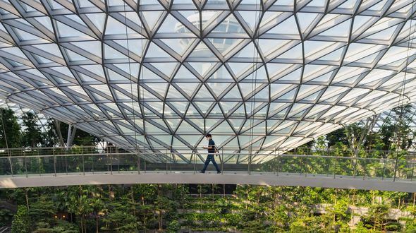 Singapore pianterà oltre un milione di alberi per combattere il caldo urbano