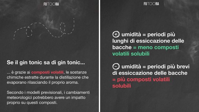 Il clima cambia... e anche il gusto del tuo gin tonic