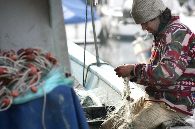 Pesca a strascico e biodiversità