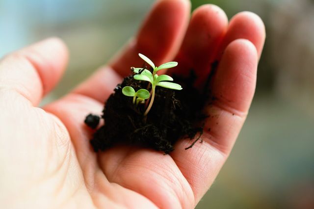 risorse naturali - certificazioni agricoltura biologica