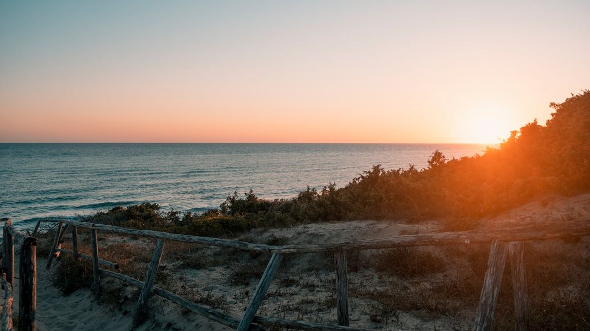 Dune contro le mareggiate: il Belgio usa la natura per difendersi da tempeste e innalzamento del mare