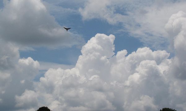 Strato di ozono in ripresa: il “buco” potrebbe scomparire entro pochi decenni